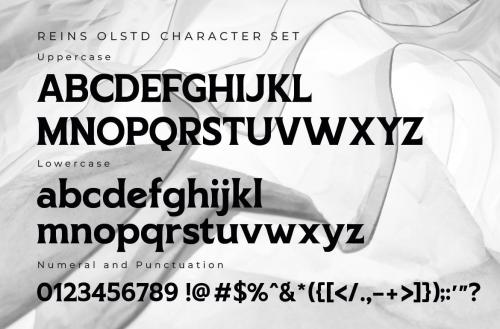 REINS Olstd - Display Serif