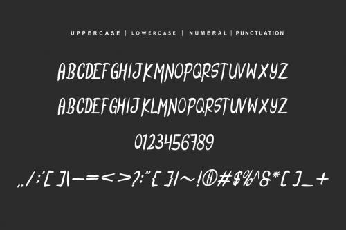 Bergina Marker Font