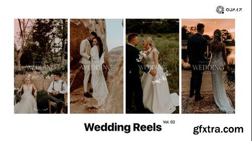 Videohive Wedding Reels Vol. 02 49249698