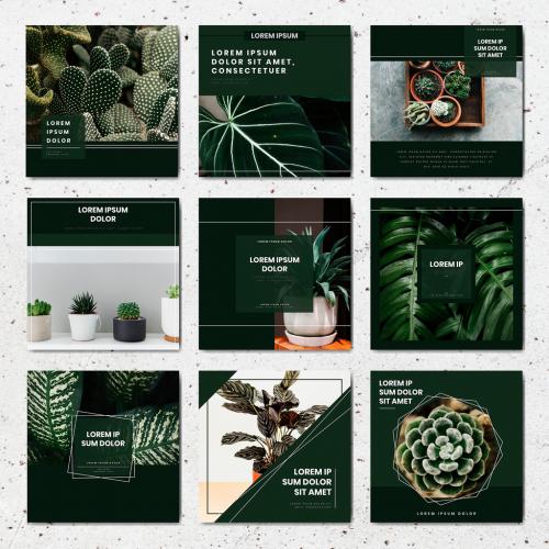 Social Media Post Layouts with Green Accents and Plant Imagery - 259602348