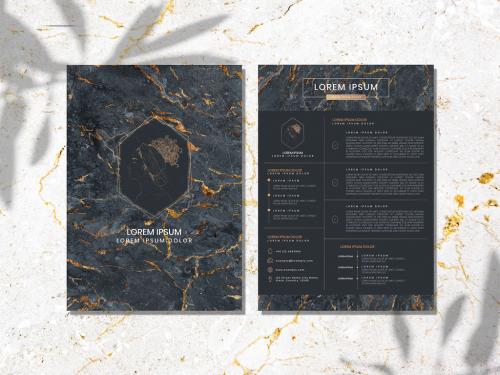 Marble Resume Layout with Gold Accents - 260300132