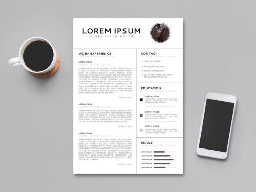 Modern Resume Design Layout - 260781099