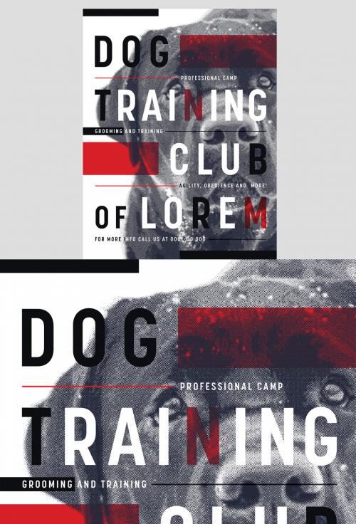 Dog Training Club Poster Layout with Risograph Effect - 262256354