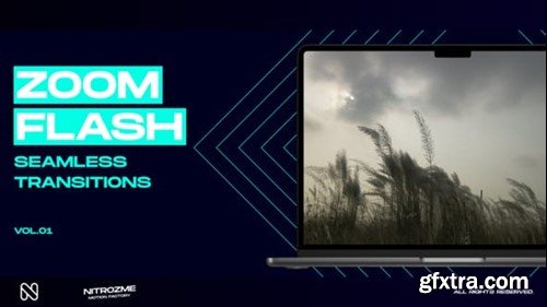 Videohive Zoom Flash Transitions Vol. 01 49305097