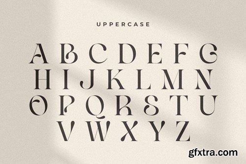 Life Sugar - Unique Luxury Serif Font 8393MCG