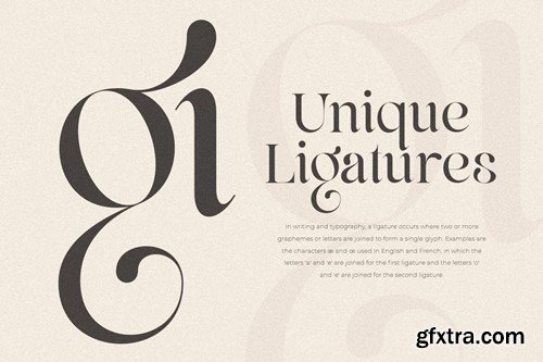 Life Sugar - Unique Luxury Serif Font 8393MCG