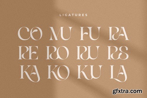 Life Sugar - Unique Luxury Serif Font 8393MCG