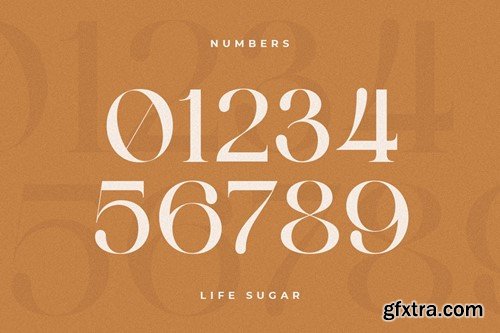 Life Sugar - Unique Luxury Serif Font 8393MCG