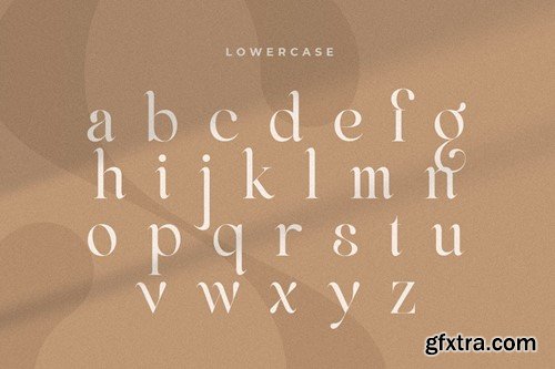 Life Sugar - Unique Luxury Serif Font 8393MCG