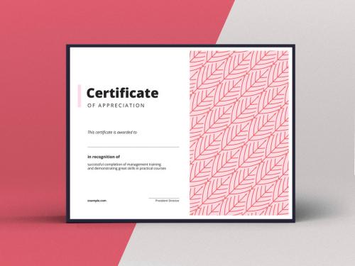 Certificate of Appreciation Layout with Red Elements - 265890434