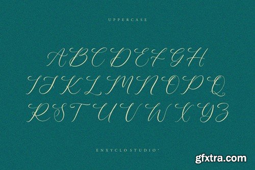 NCL Belonit Wendystaq - Elegant Script Font P8UA863