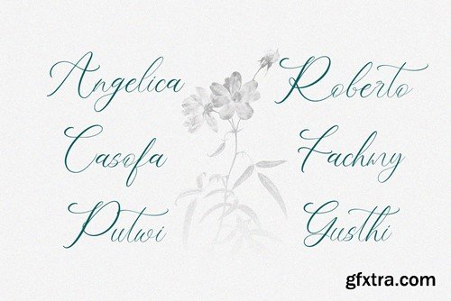 NCL Belonit Wendystaq - Elegant Script Font P8UA863