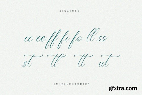 NCL Belonit Wendystaq - Elegant Script Font P8UA863