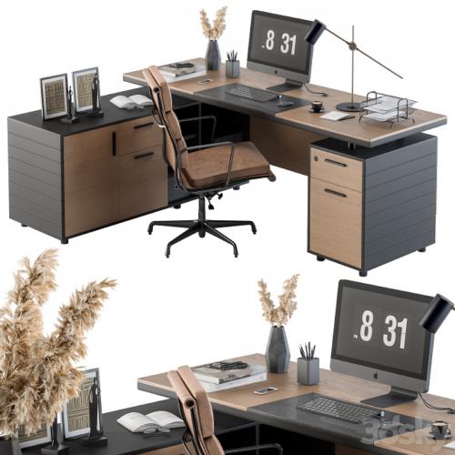 Office Furniture - Manager Set 06