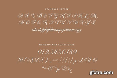 Helyna Elegant Script Font PEZQ9S8