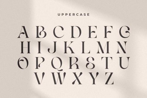 Life Sugar - Unique Luxury Serif Font