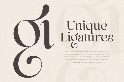 Life Sugar - Unique Luxury Serif Font