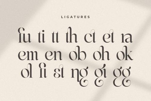 Life Sugar - Unique Luxury Serif Font