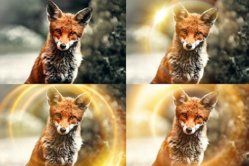 43 Ring Lens Flare Overlays & Photoshop Action