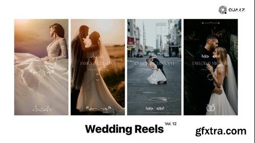 Videohive Wedding Reels Vol. 12 49308037