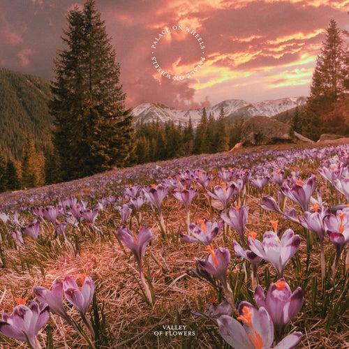 Epidemic Sound - Valley of Flowers - Wav - E4YuyCcHf6