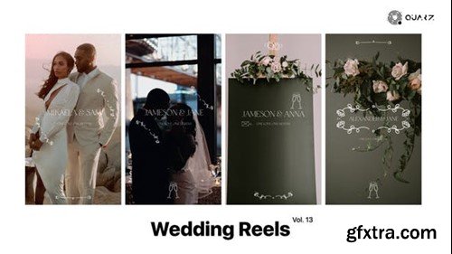 Videohive Wedding Reels Vol. 13 49308047