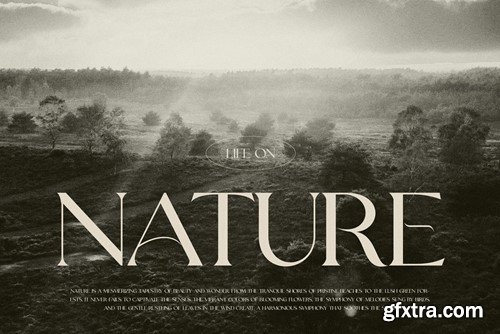 Grayson Elegant Serif Font Typeface VMPPUN5