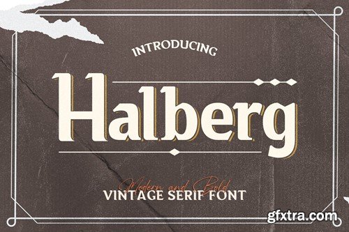 Vintage Serif Font 3KV37NP