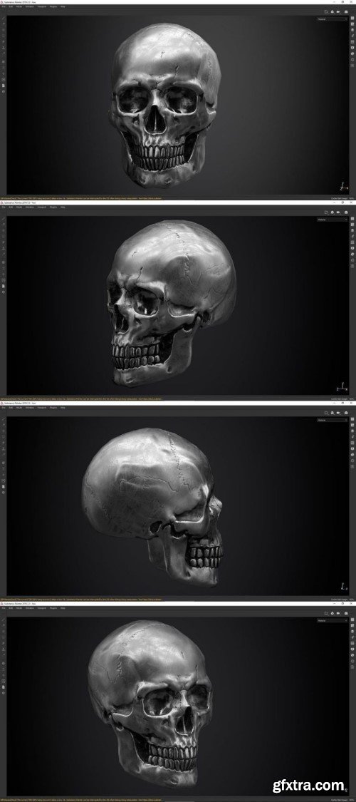 Skull PBR textures and low poly and high poly