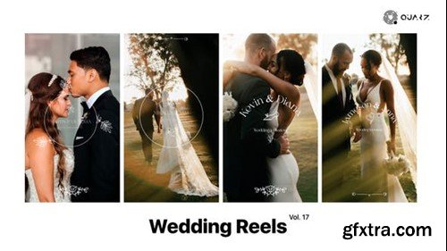 Videohive Wedding Reels Vol. 17 49308237