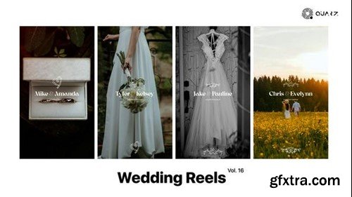 Videohive Wedding Reels Vol. 16 49308073