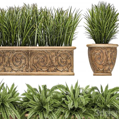 A collection of plants in classic outdoor pots vases with monograms with ferns, bushes, grass, flowerbed. Set 496.