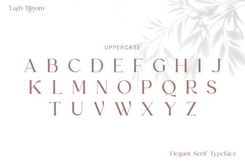 Lady Bloom Serif Font