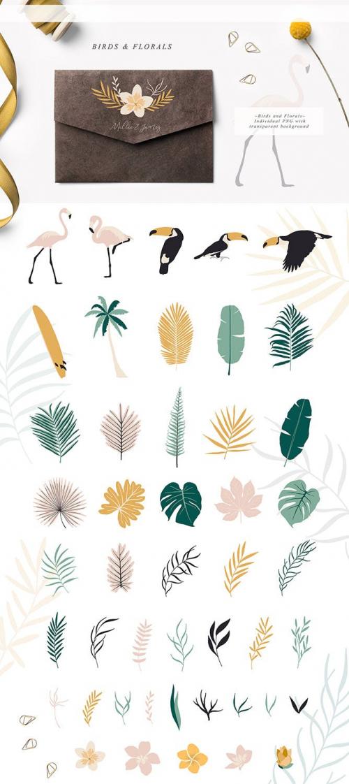 Tropic Paradise Vector Birds Florals Collection