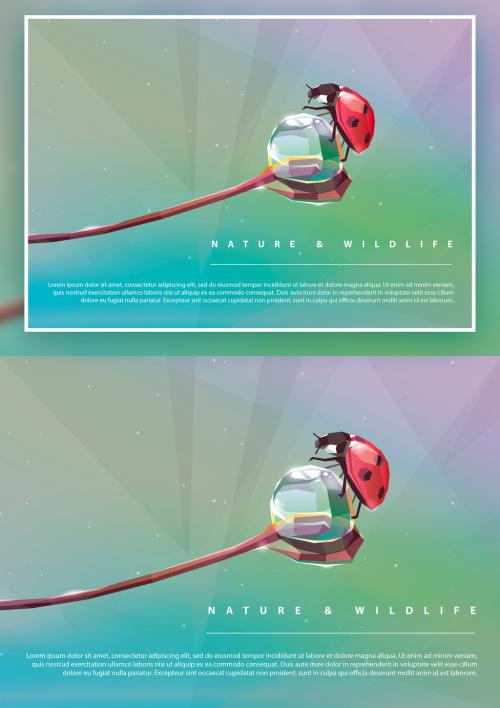 Geometric Natural Illustration Poster Layout with Ladybug - 270474102