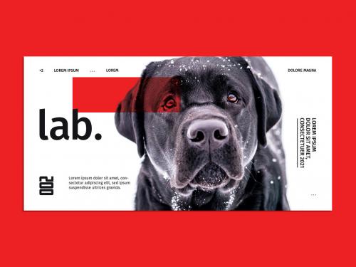 Flyer Layout with Dog Image - 272675298