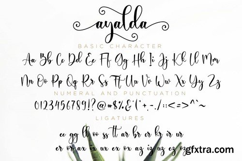 Ayalda Script 5W8XKD9