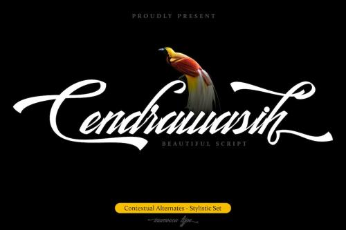 Cendrawasih