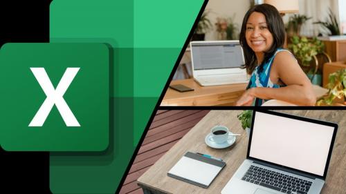 Udemy - Excel Accounting 1–Transactions for Common Data Input Forms