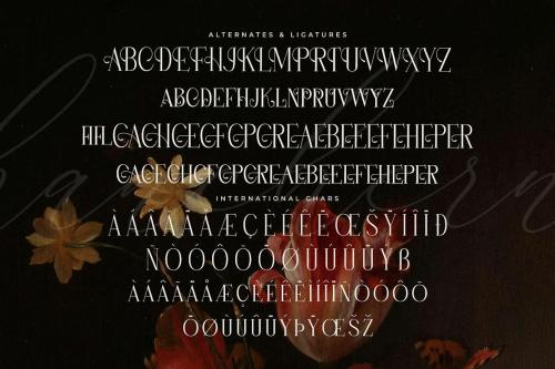 Hanchern Display Serif Font