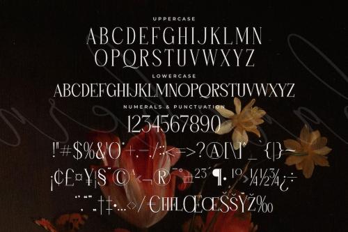 Hanchern Display Serif Font