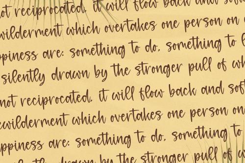 Plam Story A Handwritten Font