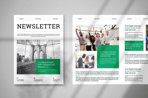 News Letter Brochure Layout