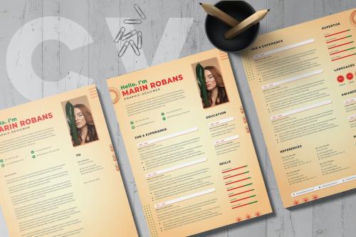 CV Resume &amp; Letter Cover Word