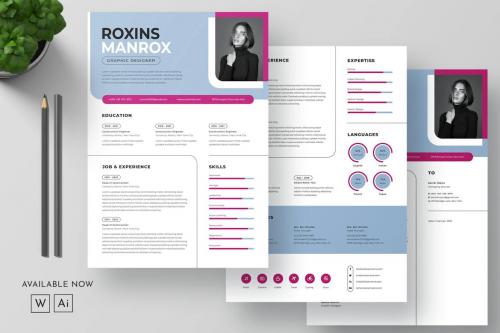 Clean Resume