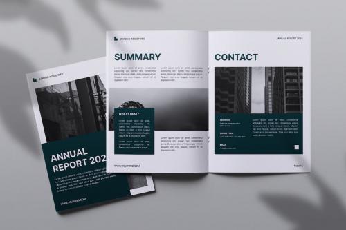 Boreno Annual Report