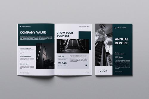 Boreno Annual Report