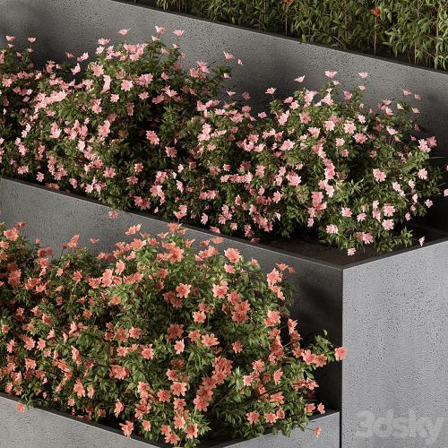 Flower Box - Outdoor Plants 436