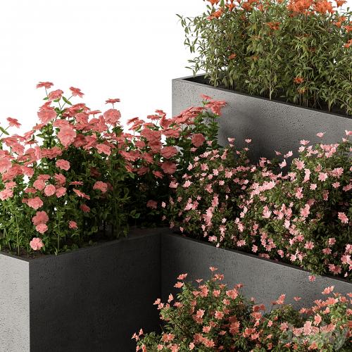 Flower Box - Outdoor Plants 436