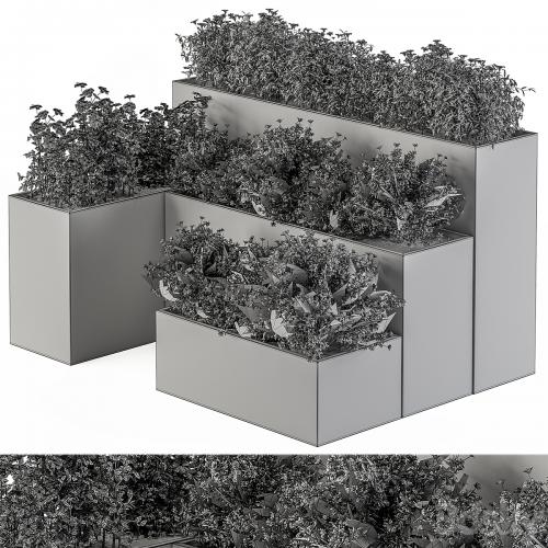 Flower Box - Outdoor Plants 436